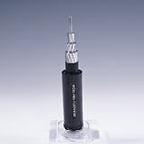 ��ǿ�����Ͻ�о�ܿվ�Ե����