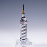 ��ǿ�����Ͻ�о�ܿվ�Ե����